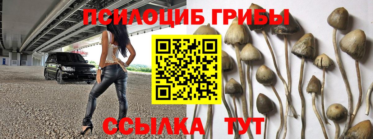 Псилоцибиновые грибы Psilocybe  Вход с VPN  цена   Салават  Галлюциногенные грибы Cubensis 
