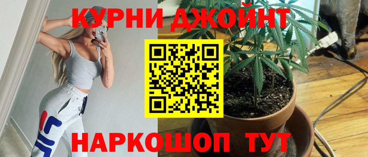 Каннабис план Салават